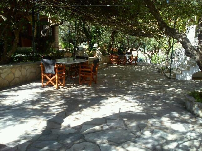 Sofos Apartments Tsilivi  Bilik gambar