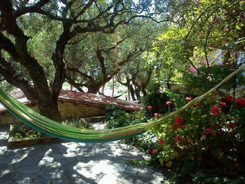 Sofos Apartments Tsilivi  Bilik gambar