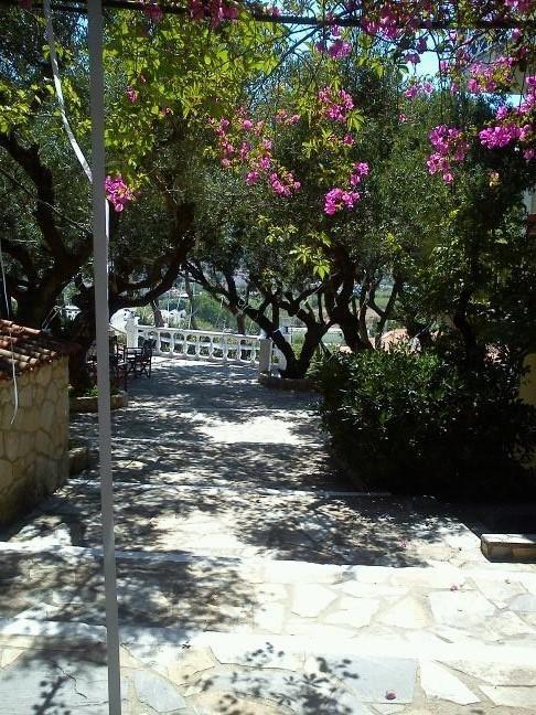 Sofos Apartments Tsilivi  Bilik gambar