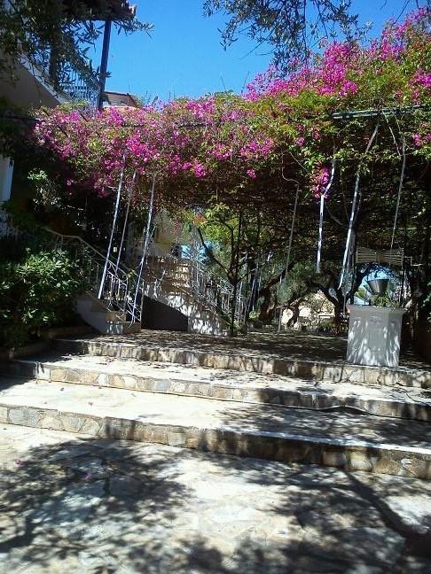 Sofos Apartments Tsilivi  Bilik gambar