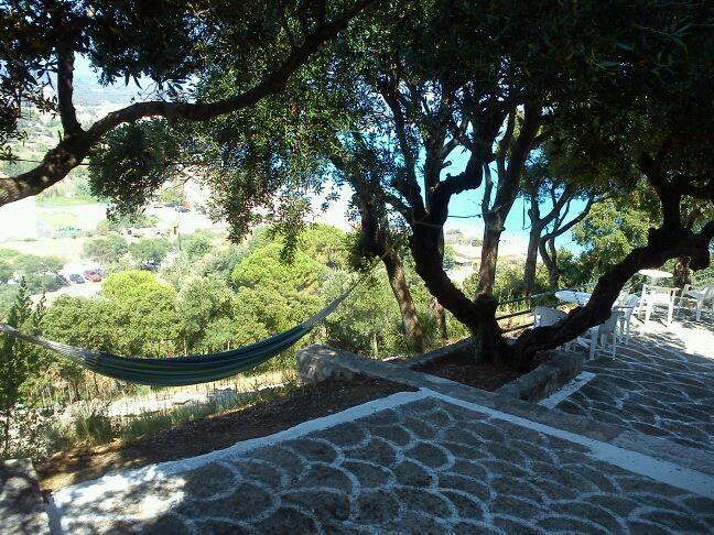 Sofos Apartments Tsilivi  Bilik gambar
